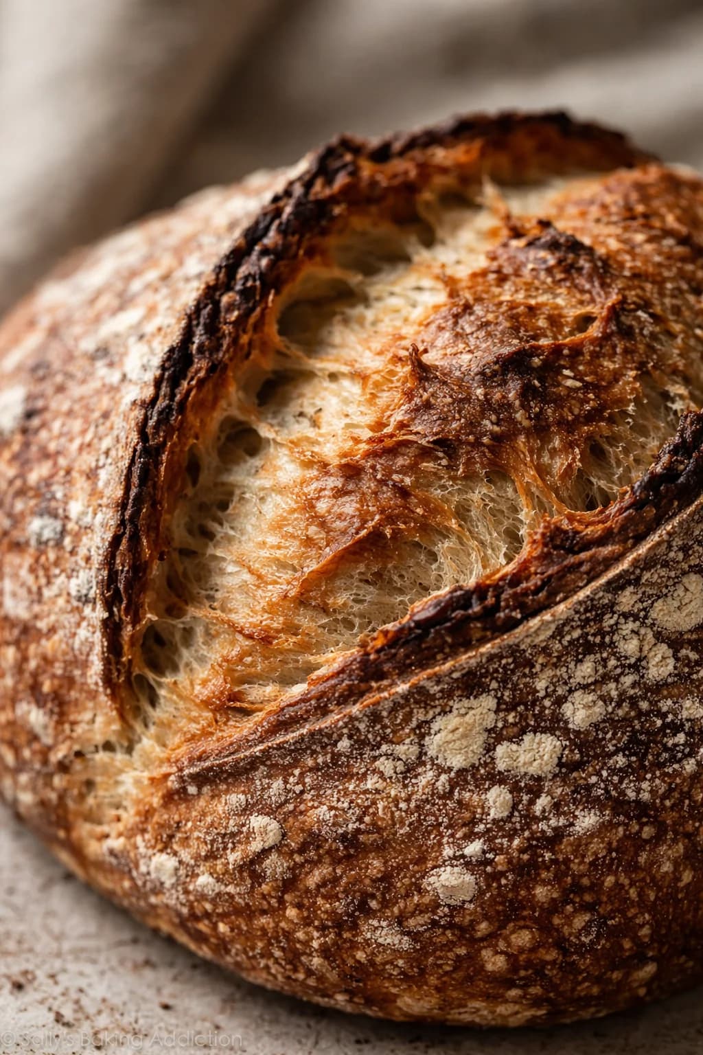 Sitio web en 24 h para Panadería